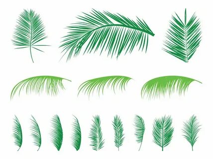 Palm frond Logos