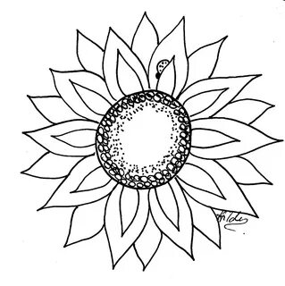 Рисунок Черно-белый Подсолнух, Sunflower Line Art, белый, фо