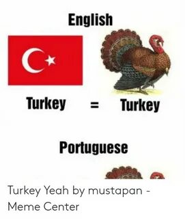 🐣 25+ Best Memes About Turkey Memes Images Turkey Memes Imag