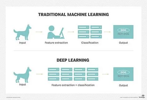 Beginners Guide to Machine Learning, Artificial Intelligence