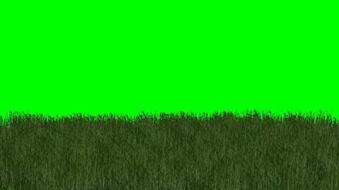 grass in the wind - "free Chroma Key effects" - YouTube