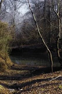 Legend of Boggy Creek - Peavy’s Monster Mart - Fouke, Arkans