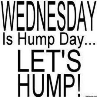 Irresistible Me!!!! в Твиттере: "Hump day http://t.co/W2bnHs