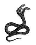 Pin by Logan Gray on bcc1 Snake drawing, Snake tattoo, Snake