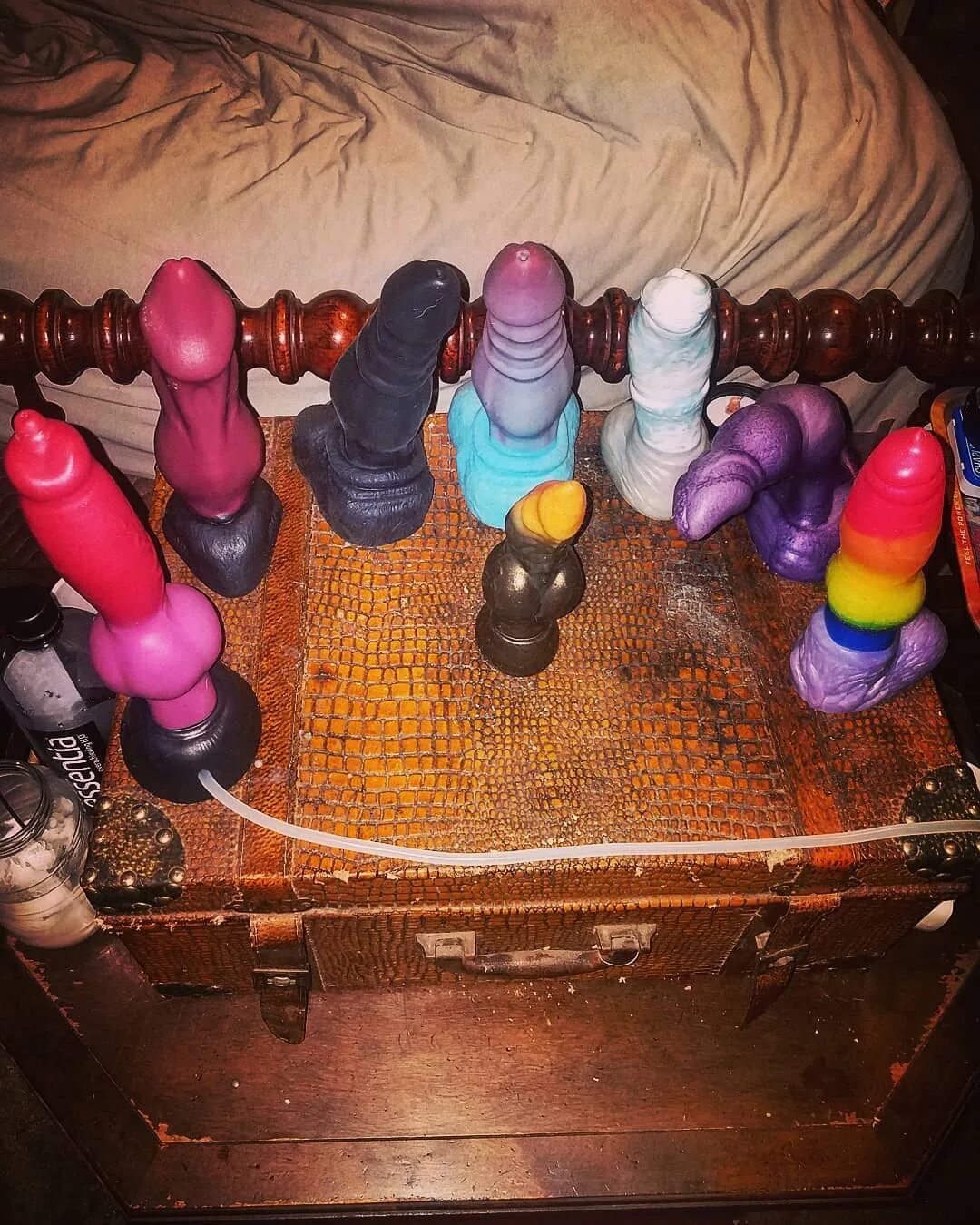 Indyana Sherlock Bones 在 Instagram 上 发 布."My Bad Dragon collection so ...