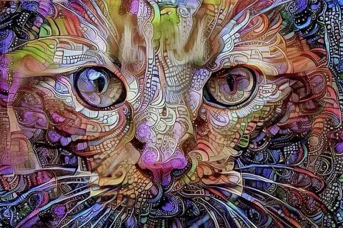 Colorful Cat Art by Peggy Collins in 2022 Cat art, Psychedel