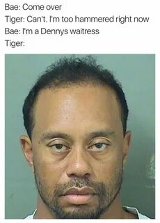 Tiger woods memes