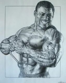 Bodybuilder Drawing at GetDrawings Free download