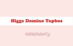 Link Download Higgs Domino Topbos RP Apk Terbaru 2021