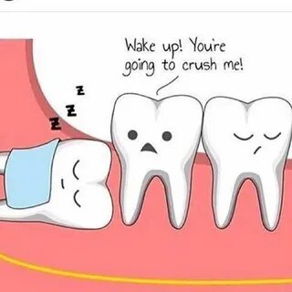 Wisdom teeth are the third and final set of molars that most