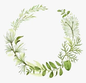 Transparent Leaf Wreath Png, Png Download , Transparent Png 