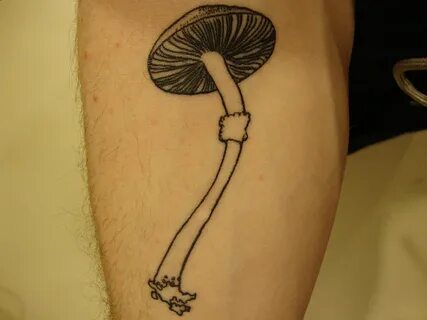 Mushroom Tattoo Images & Designs