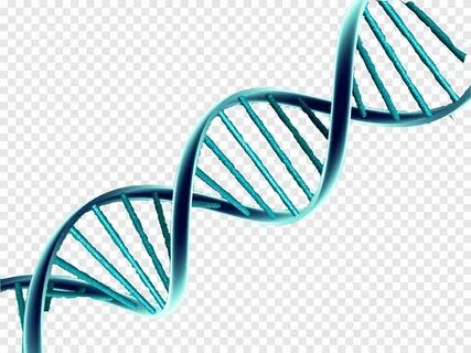 иллюстрация зеленой спирали, двойная спираль ДНК, нуклеинова