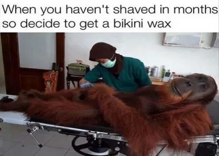 13 Funny Waxing Memes For The Masochist - SayingImages.com