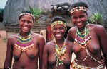 Nude zulu women - tamarlodges.com