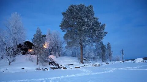 Обои зима, снег, дерево, замораживание, мороз - картинка на 