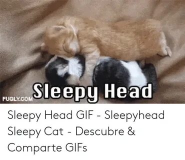 🐣 25+ Best Memes About Sleepy Head Meme Sleepy Head Memes