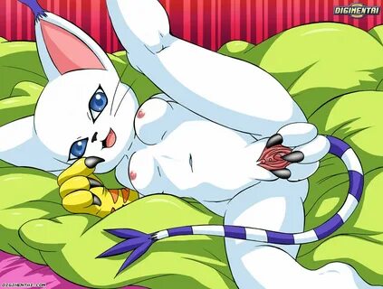 Free Digimon Renamon And Gatomon Porn Comic yellowgreenarmy.