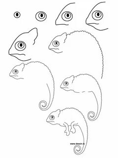 Drawing chameleon Easy animal drawings, Realistic drawings, 