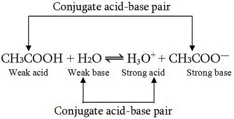 Ionic equilibrium acids and bases theory - Advanced Chemistr