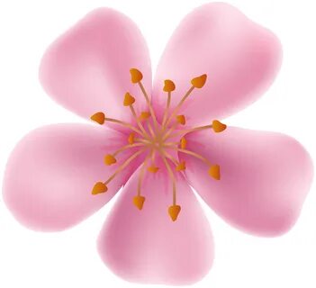 blooming flower clipart - image #18