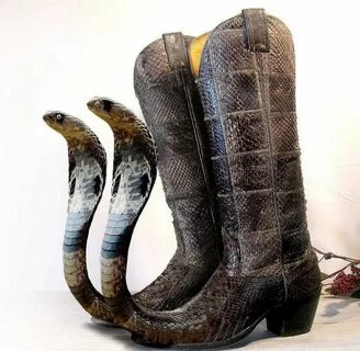 Pin by Таис Шаф on Reference Funny shoes, Snakeskin boots, B
