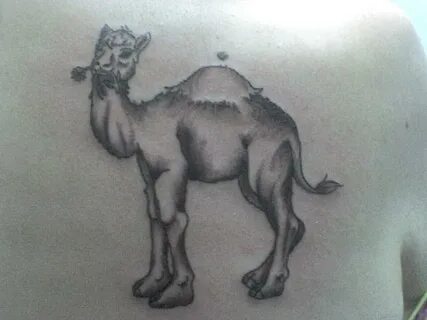 Camel Tattoo Images & Designs