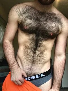 Pin by Marcus Lambert on Josh Groban & more Hairy chested me