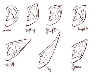 Tumblr - Elf Ears Drawing in 2022 How to draw ears, Elf draw