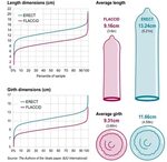 Average Size Of Male Penis. Galleries Of Lovely Mature Hot L