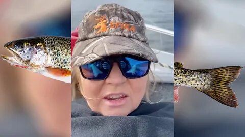 Trout Lady Original Video Reddit: Who is Trout for Clout Girl? 