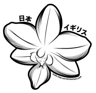 Orchid clipart black and white, Orchid black and white Trans