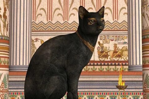 Black Cat Superstition In Egypt Care About Cats