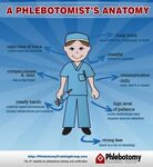 Anatomy of a Phlebotomist Phlebotomy, Phlebotomy humor, Medi