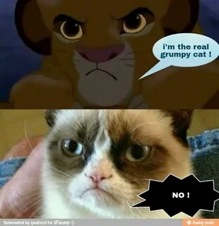 Pin by Michelle Kondrich on Funny Grumpy cat meme, Grumpy ca
