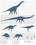 Dinosaurs Size Comparison with a Human - KidsPressMagazine.c