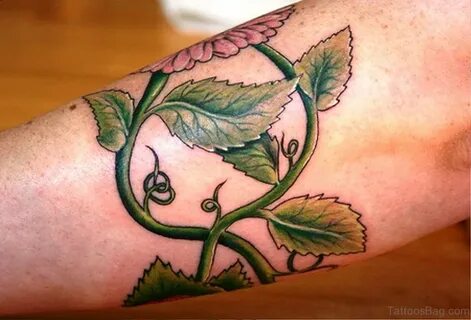 46 Fabulous Vine Tattoo On Arm - Tattoo Designs - TattoosBag