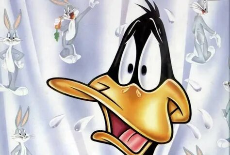 Duck Free Wallpaper Windows Cartoon Character Daffy Duck