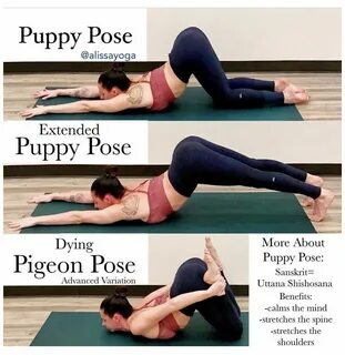 #puppy #pose #yoga #asana #puppyposeyogaasana Puppy pose, Pu