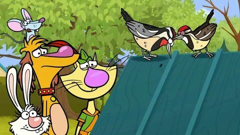 Watch Nature Cat: Season 1 Episode 35 free (Dub) in HD on An