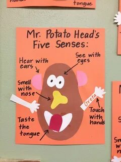 Who better to detail the five senses than Mr. Potato Head! G