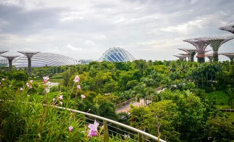 Сингапур - Лучшие фотографии