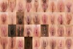 File:Vagina collage 04.jpg - Wikimedia Commons
