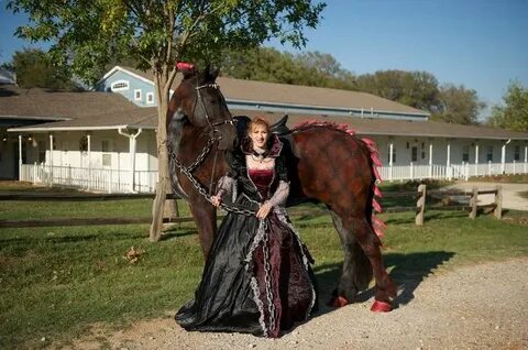 Photo galleries, Horse costumes, Photo