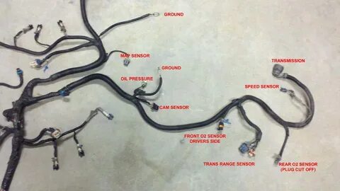 4L60E Speed Sensor Wiring Diagram For Your Needs