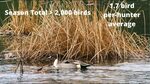 Sauvie Island Duck Update 10/30/19 - YouTube