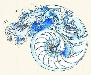 nautilus with waves Shell tattoos, Nautilus tattoo, Ocean ta