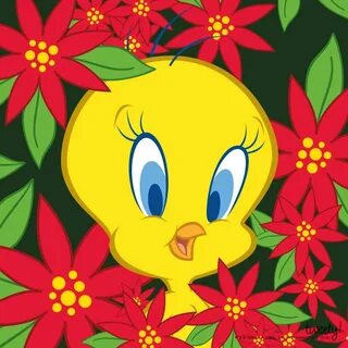 Tweety Bird 배경화면