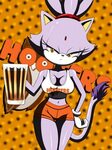 Blaze hooters Sonic Hooters Know Your Meme