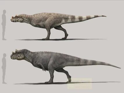 Ceratosaurus spp. The World of Animals